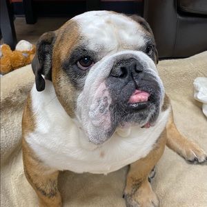 Meet your Posher, Moon